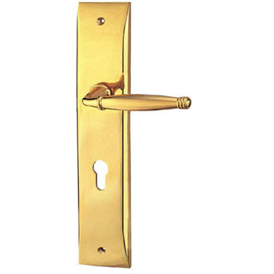 Brass Handle with Plate
